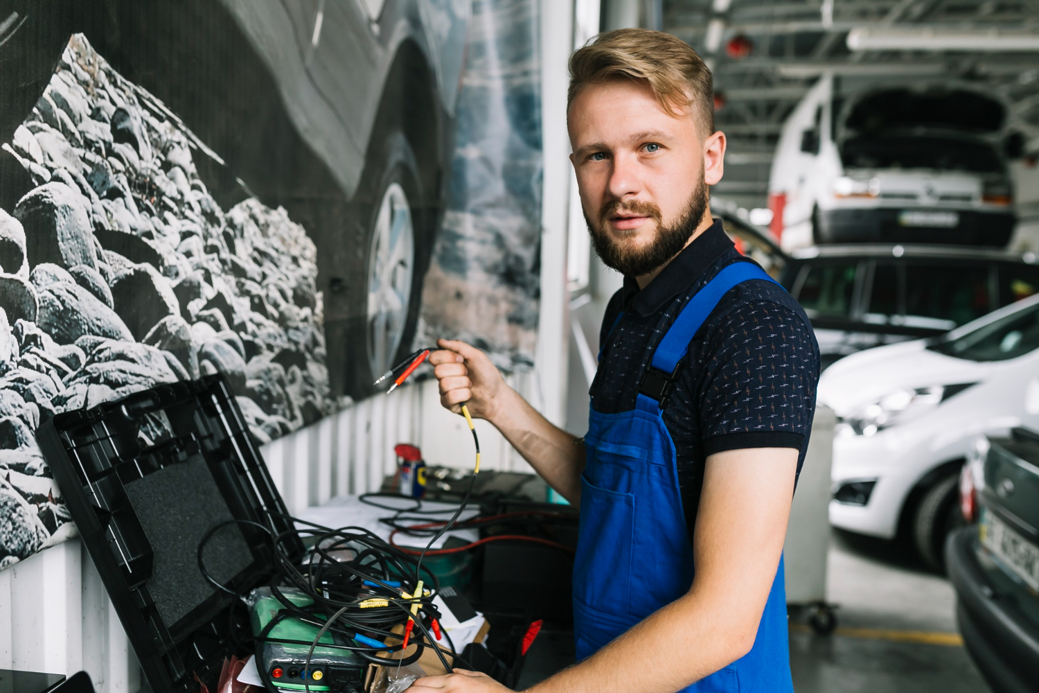 Tehnician electrician electronist auto (m10)